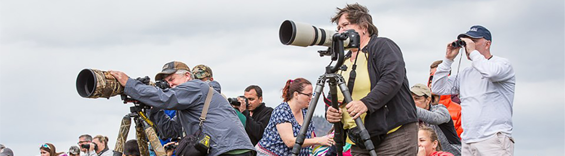 group of people lined up with cameras taking photos